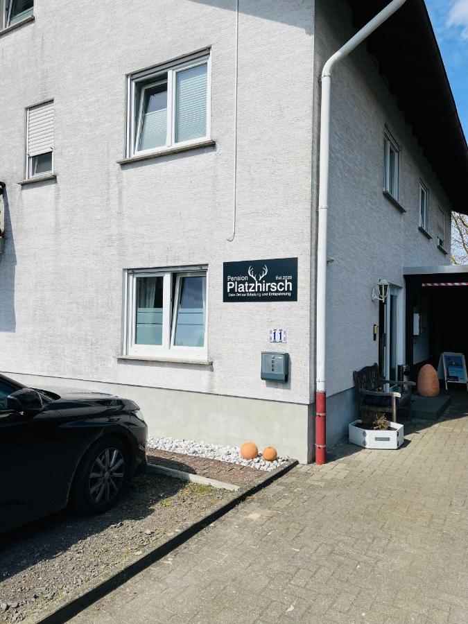 Pension Platzhirsch Mücke Kültér fotó