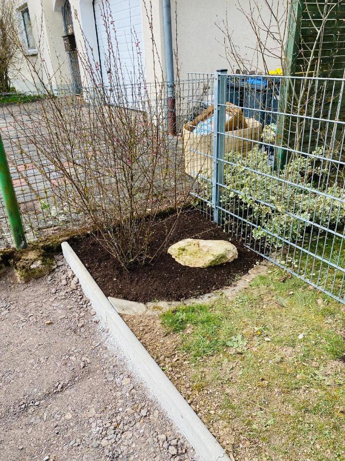 Pension Platzhirsch Mücke Kültér fotó