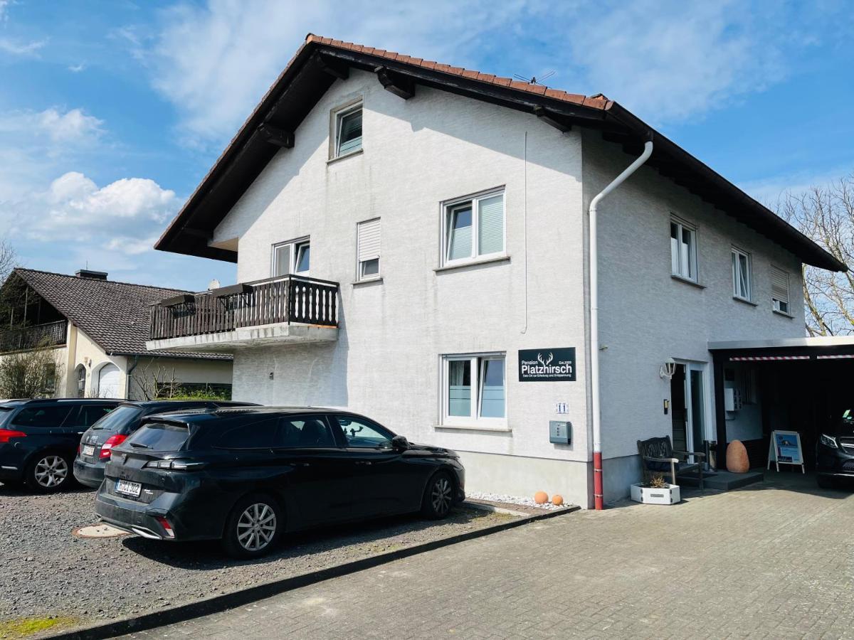 Pension Platzhirsch Mücke Kültér fotó