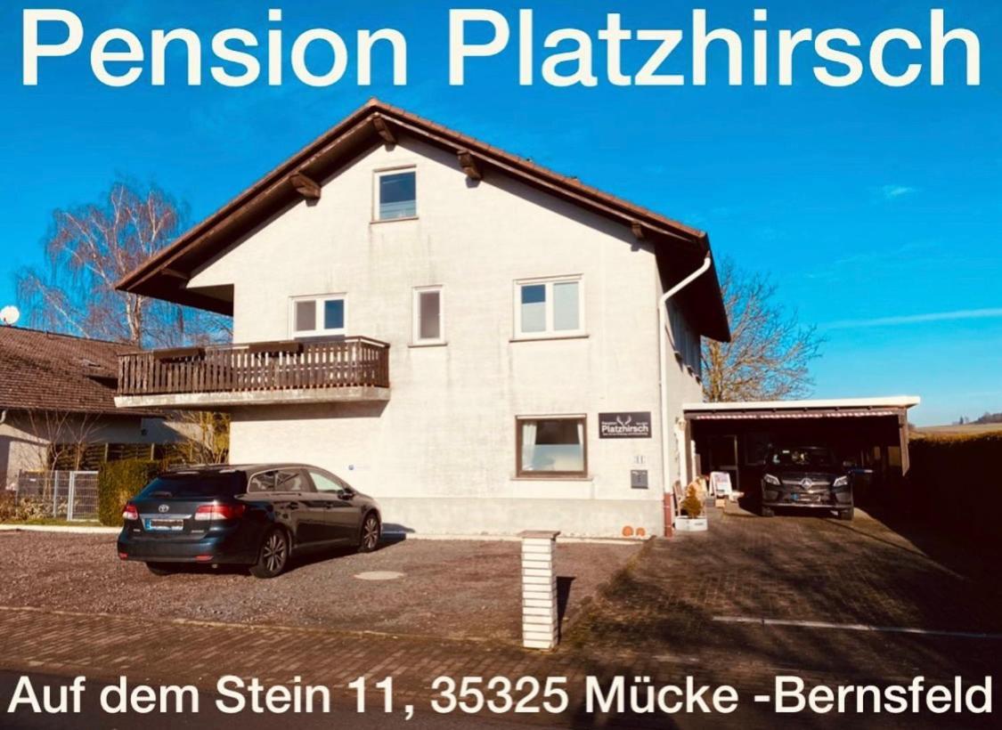 Pension Platzhirsch Mücke Kültér fotó